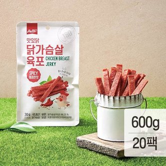 맛있닭 닭가슴살 육포 매콤맛 30gx20팩(600g)
