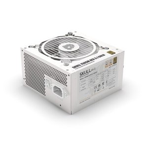 SKULL 850SM 모듈러 ATX3.1 80PLUS골드 화이트  재쿨