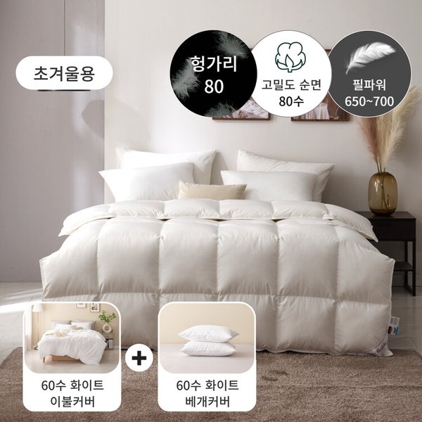 확대된 대표 이미지 P