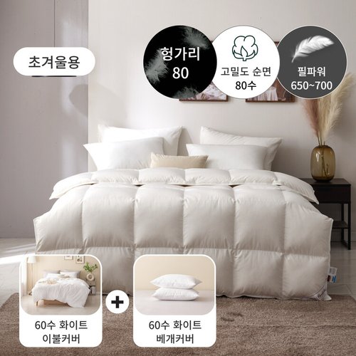 이미지 P
