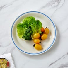 제로슈가홀릭 라인 원형접시 D23