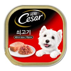 시저 캔 쇠고기 100g