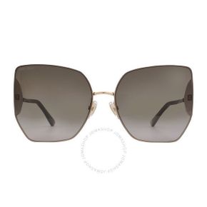 4664659 Jimmy Choo Brown Gradient Butterfly Ladies Sunglasses 78447793