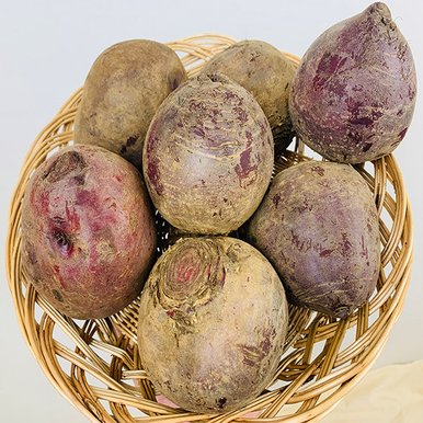 해풍맞고 자란 제주 햇 레드비트 10kg 특품 사이즈