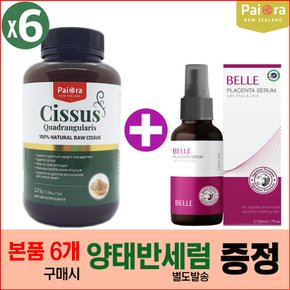 (6통) 뉴질랜드 파이오라 시서스 가루 225g 인도산 시저스 추출 분말 Cissus