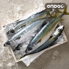 제주 고등어 1.2kg (소/10팩/팩당110g내외)
