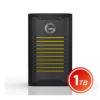  샌디스크 프로페셔널 G-DRIVE ArmorLock SSD 1TB