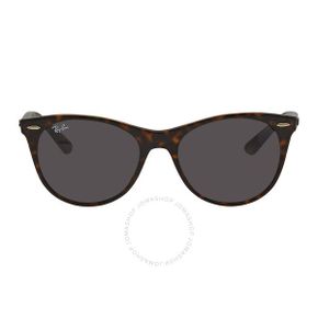 4662286 Ray-Ban Wayfarer II Classics Dark Grey Classic Round Uni Sunglasses