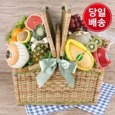 [수도권 퀵배송][과일선물세트] 소풍가자 과일바구니(수도권 당일/전국 익일)