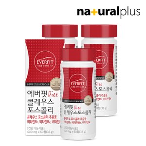 에버핏 콜레우스포스콜리 60정 3병 / 빨간 다이어트 체지방 감소 비타민B