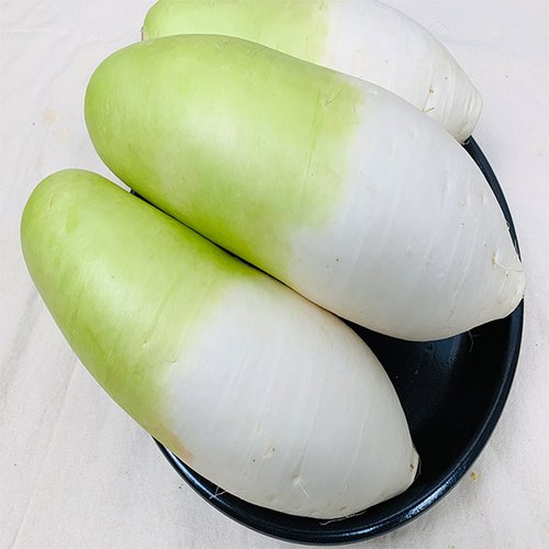 상품이미지2