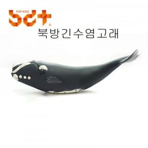 모형 북방긴수염고래 동물교구 피규어 수집품 동물모형완구