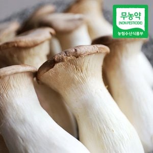 맛군 무농약 새송이버섯 상품(구이용) 2kg