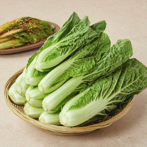 상품 이미지2