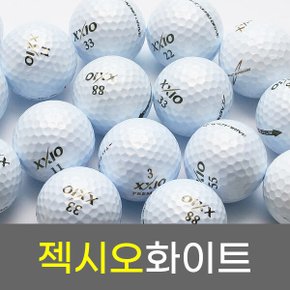 XXIO 젝시오 화이트 A-급 10개 로스트볼 중고 골프공