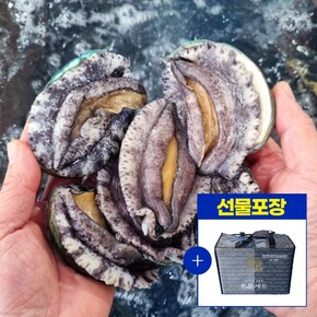 (선물포장세트) 국내산 해남 완도 활전복 1kg (8-9미) + 전복칼