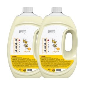 세탁선생 유연제 플라워향 2.5L 2개