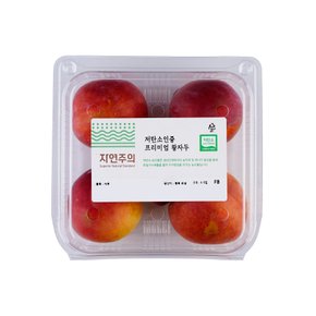 저탄소인증 프리미엄 왕자두 4~5입/팩 (600g내외)