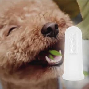 강아지 고양이 휴대 애완동물 손가락 칫솔 치아 청결 (39629779)