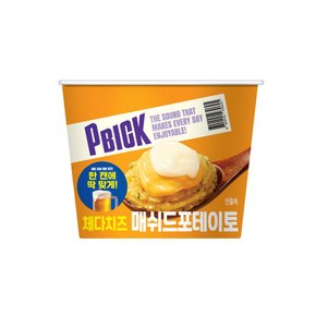 PBICK 체다치즈 매쉬드포테이토 45g x 3개