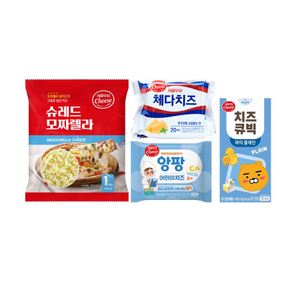 치즈 모음전