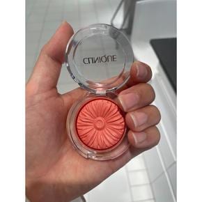 [해외직구] 크리니크 블러셔 NO.02 3.5g CLINIQUE Blusher 3.5g NO.02 7THL-02-NB5D