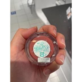 [해외직구] 크리니크 블러셔 NO.02 3.5g CLINIQUE Blusher 3.5g NO.02 7THL-02-NB5D