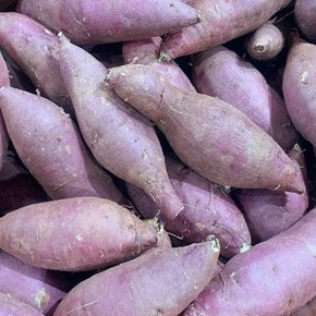 꿀밤고구마 한입 2kg