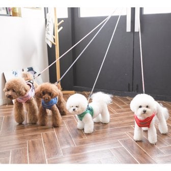 REAL PET 더렌 조끼 하네스 4color 강아지 가슴줄 애견 산책 용품