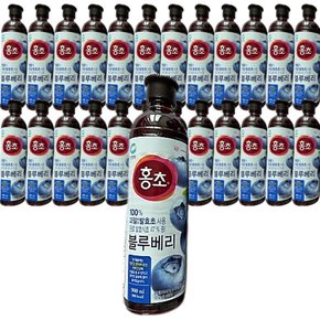 홍초 블루베리 900ml 3개