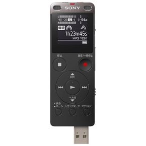 소니 스테레오 IC 레코더 FM 튜너 부착 4GB 블랙 ICD-UX560FB