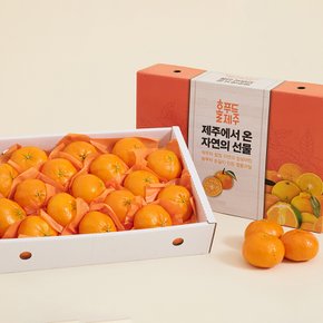 [제주직송] 삼대천향 레드향 선물세트 2.5kg 중과 (10-12과)