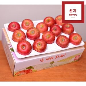  [경상북도]아삭한 경북사과 3kg 14~17과 정품 산지직송