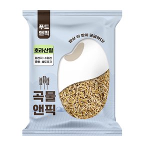 곡물앤픽 캐나다산 호라산밀 1kg 통밀 이집트쌀