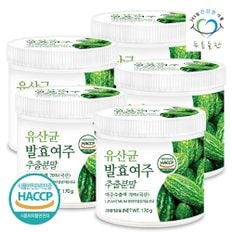 국산 발효 여주 추출물 추출 분말 가루 파우더 haccp 인증 170gx5통