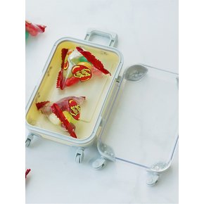 컬러 미니어쳐 캐리어 케이스 액세서리 소품 보관함