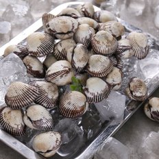다농이네 산지직송 벌교 새꼬막(왕대)1kg