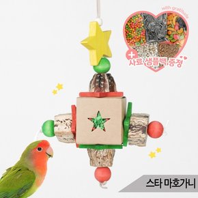 스타 마호가니 앵무새 종이박스 나무구슬 장난감 02161