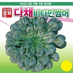 다채씨앗종자 비타민썸머(600g)