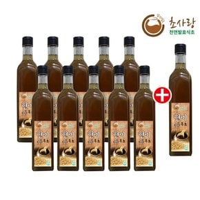 현미흑초 500ml 10병+1병더