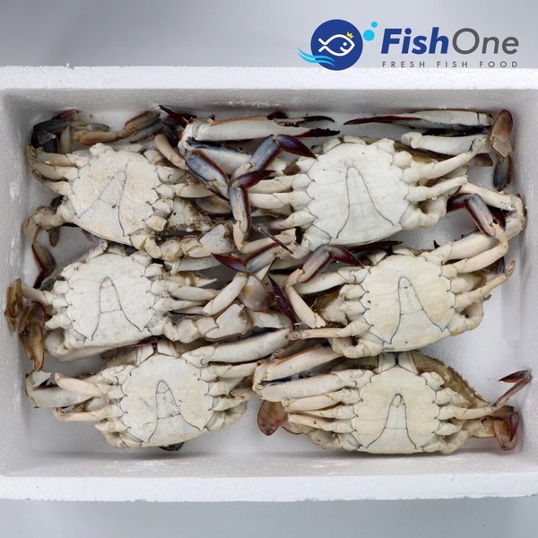 이력추적 살이꽉찬 국산 통 숫꽃게 3kg(9-15미)냉동