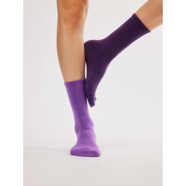 그레이프 퓨레 Grape Puree 단색 컬러 장목 양말
