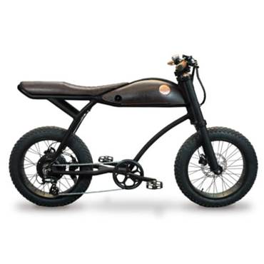 게이즈샵 RAYVOLT 레이볼트 링고 Rayvolt Ringo_스마트 허브 + 48V 듀얼 배터리 + 서스펜션