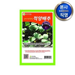 베이비 (샐러드) 적양배추 씨앗 10g . 무농약 텃밭 베란다 채소 재배 씨 종자