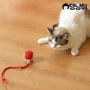 강아지 고양이 스마트 LED볼 자동장난감 (+로프 포함)