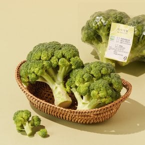 친환경 브로콜리 2입 450g