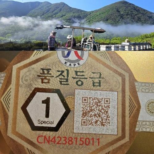 추가이미지1