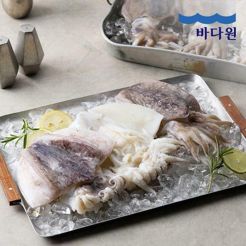 이미지 AP