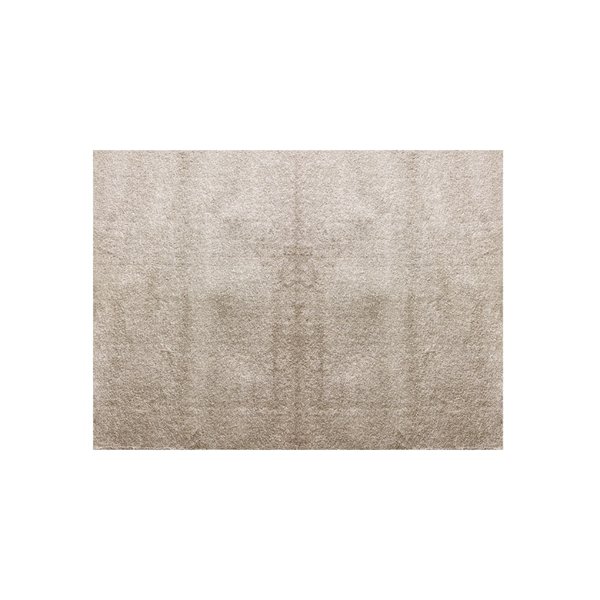 샤이니2 벨기에 워셔블샤기러그 160*230