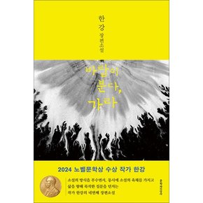 바람이 분다 가라 - 2024 노벨문학상 수상 작가 한강 저자 책